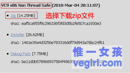 IIS+FastCGI+PHP5.3+MySQL5.1+Gzip��ϸ�̳�