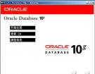 Windows��ORACLE 10g��װ�����ͼ��