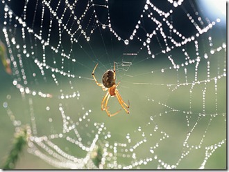 ��վ֩����