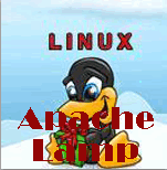 Linux�´Apache Lamp����