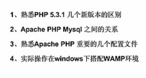 PHP5.3.1�Apache����