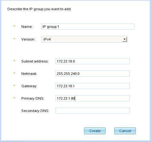 Describe IP Group ����